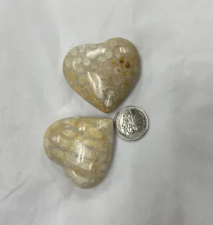 Fossilized Agate Heart
