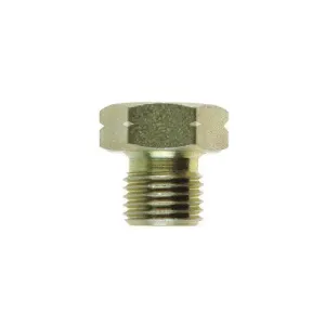 GOODRIDGE BSP PLUG ADAPTOR