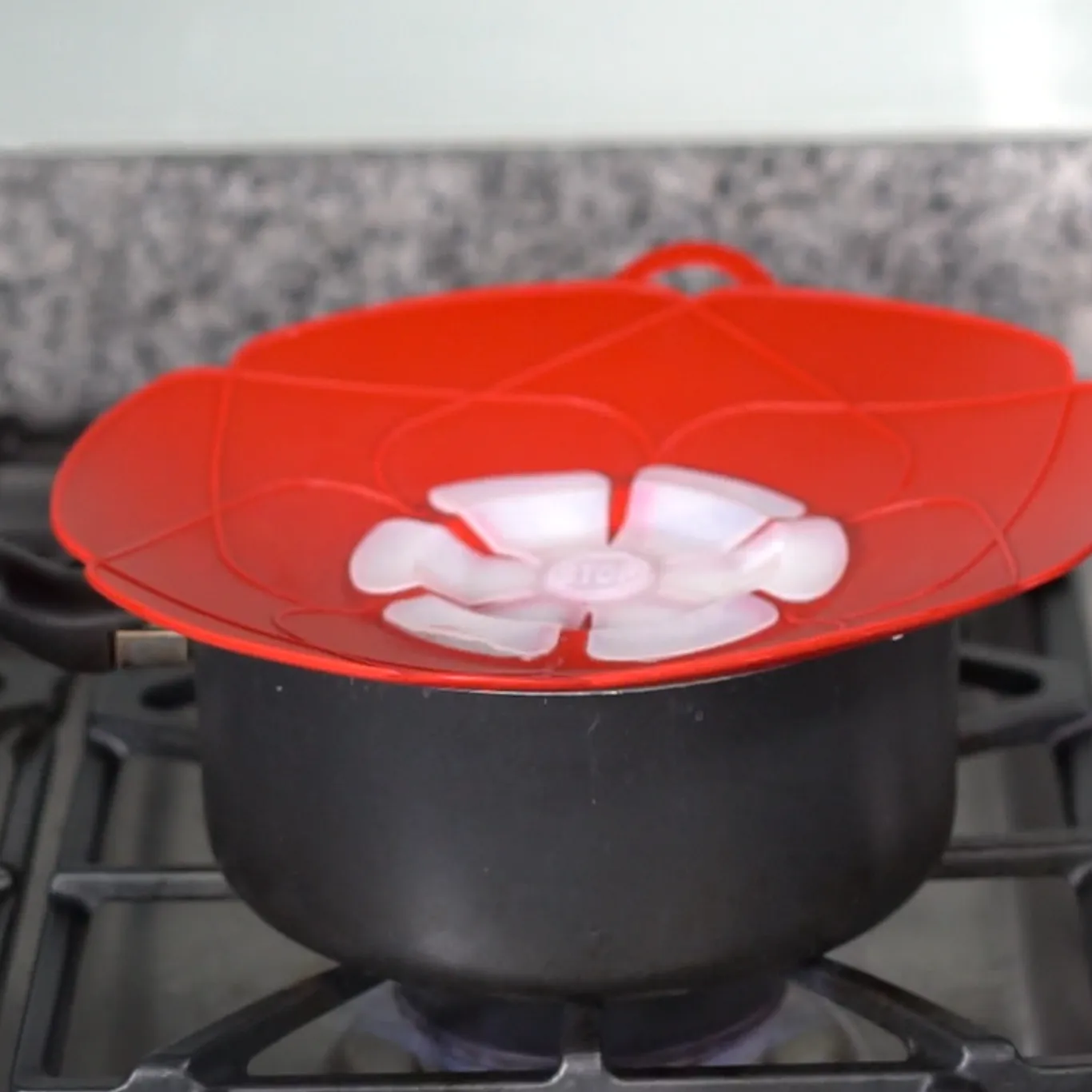Handy Lid