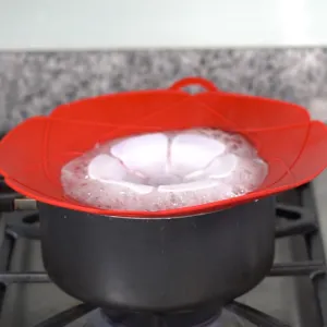 Handy Lid