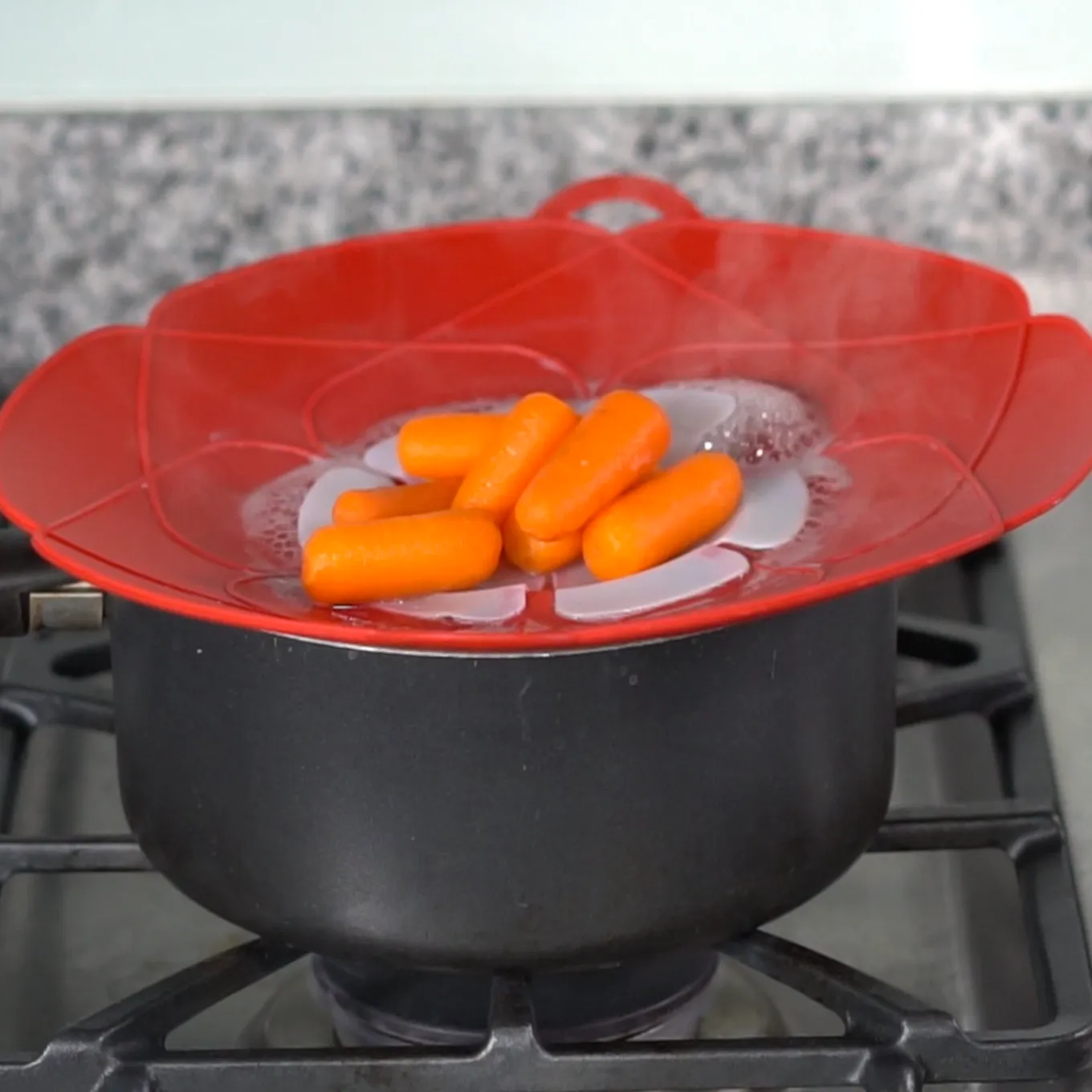 Handy Lid