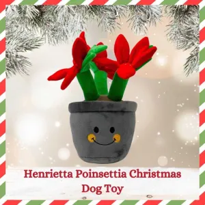Henrietta Poinsettia Dog Toy