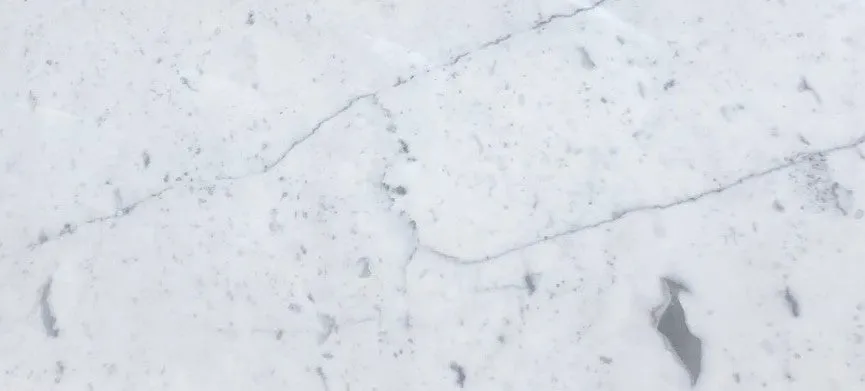 Italian Carrara White (Bianco Carrara) Marble 12" X 24" Field Tile, Polished - A14 (Lot of 132 pcs. (264 sq. ft.)