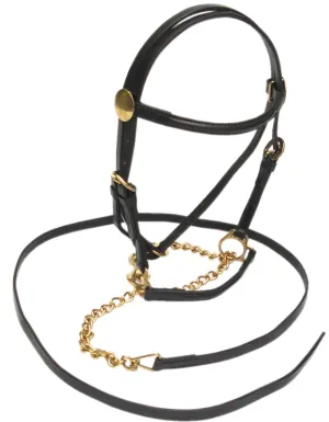 Lead in Bridle - Nickle Plated