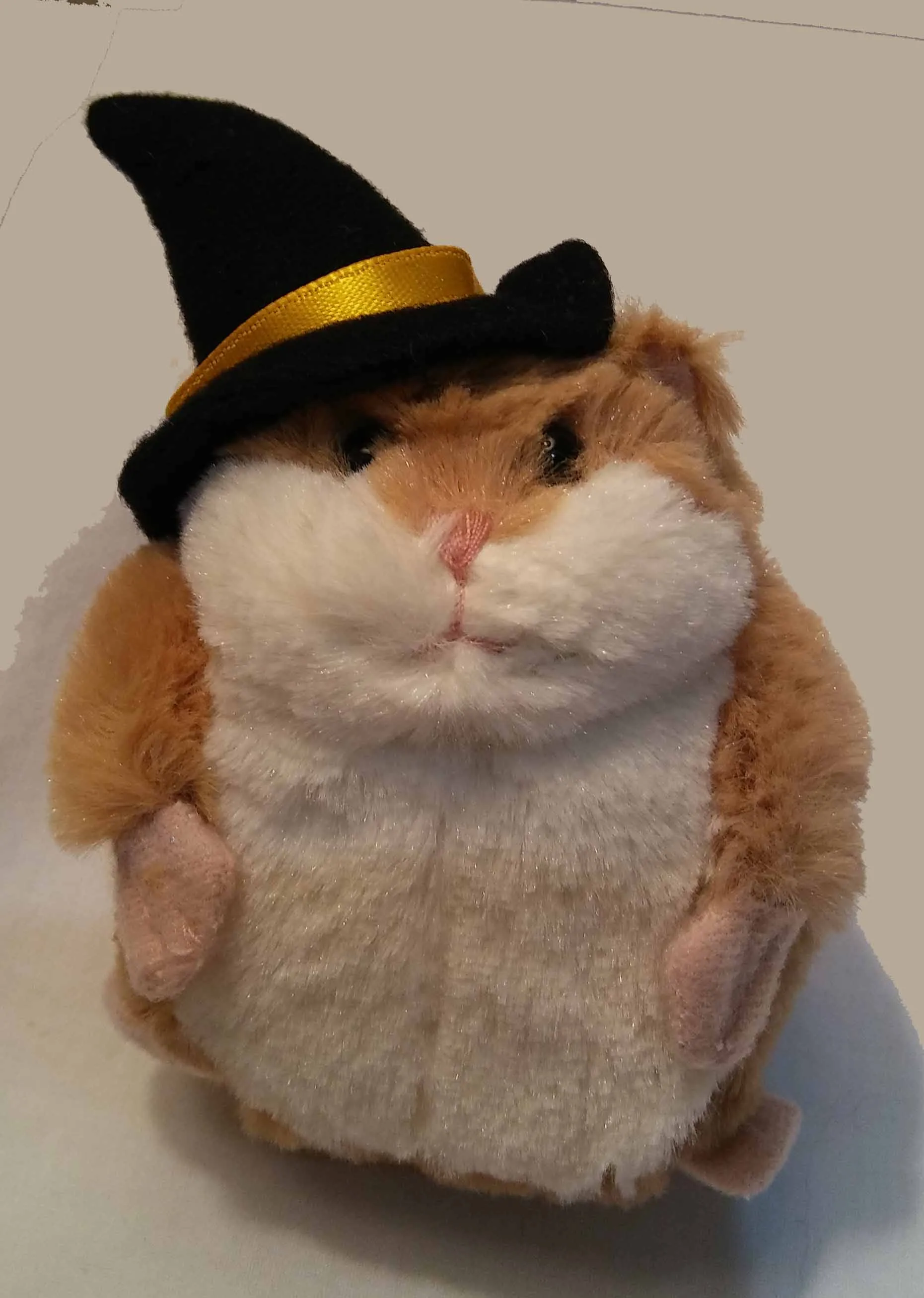 LIL WITCH HAMSTER