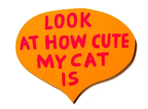 look how cute my cat is