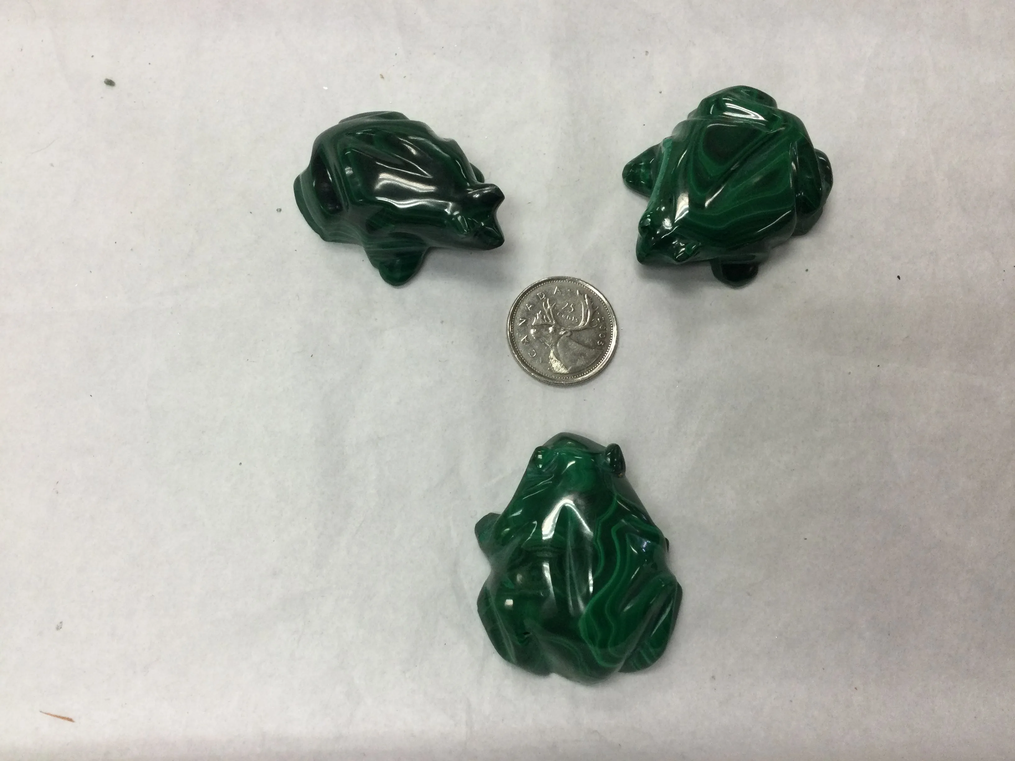 Malachite Frog