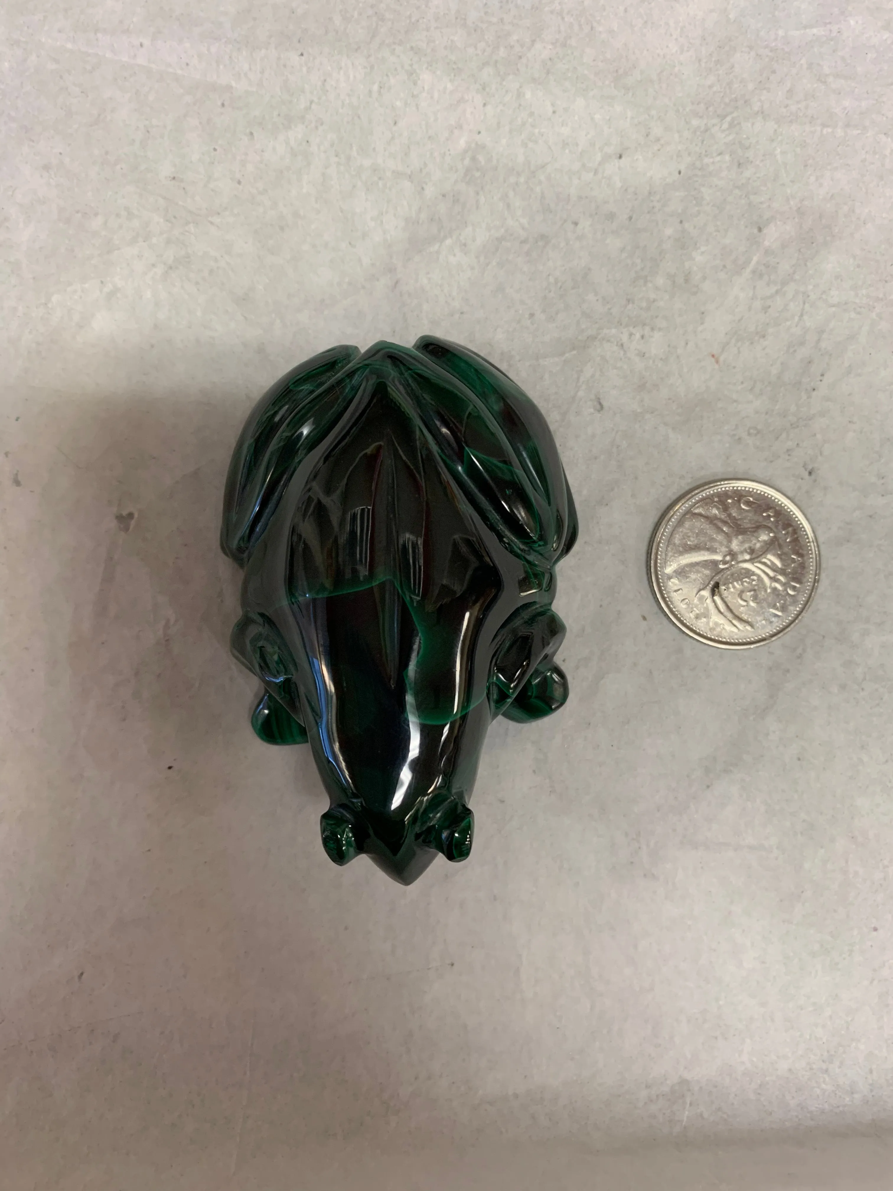 Malachite Frog