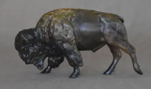 Miniature Bison