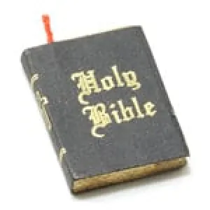 Miniature - Holy Bible
