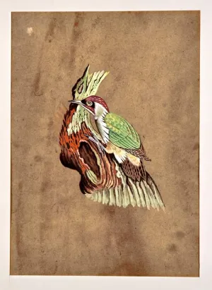 Miniature Painting 'Bird' 12.50"