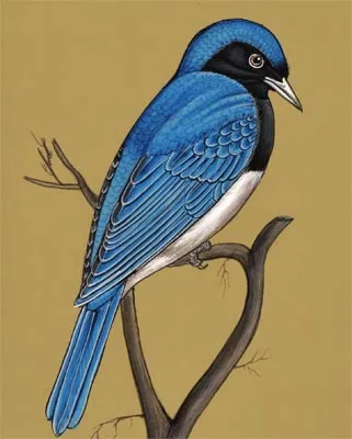 Miniature Painting 'Blue Bird'