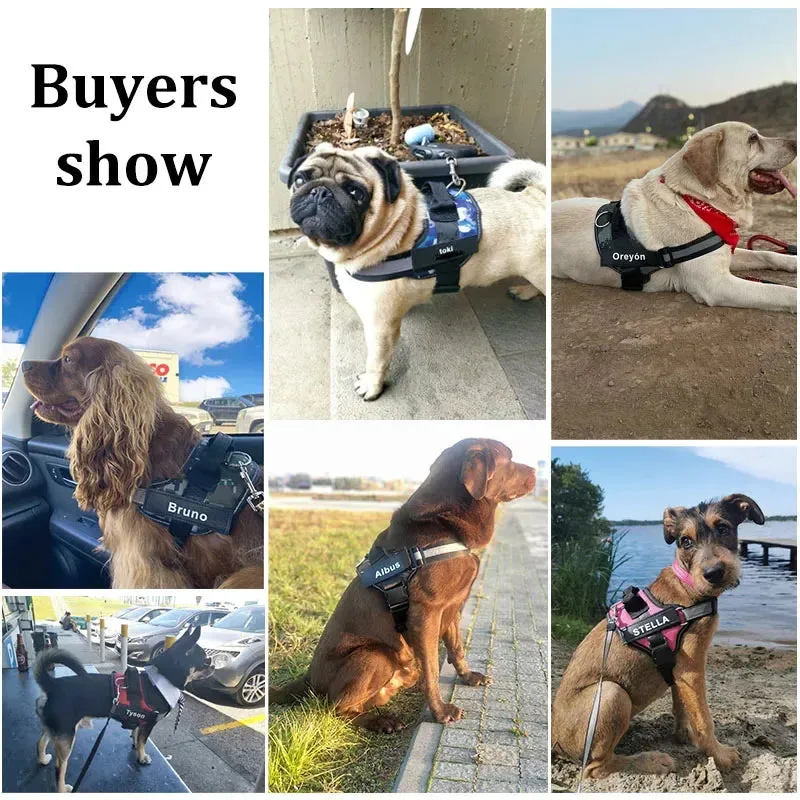 NO PULL Reflective Harness