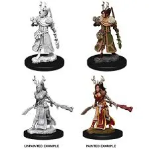 Nolzur's Marvelous Miniatures: Female Human Druid
