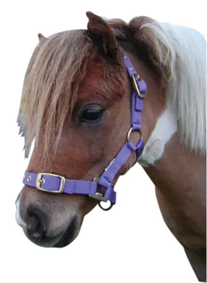 Nylon Miniature Headstall Purple