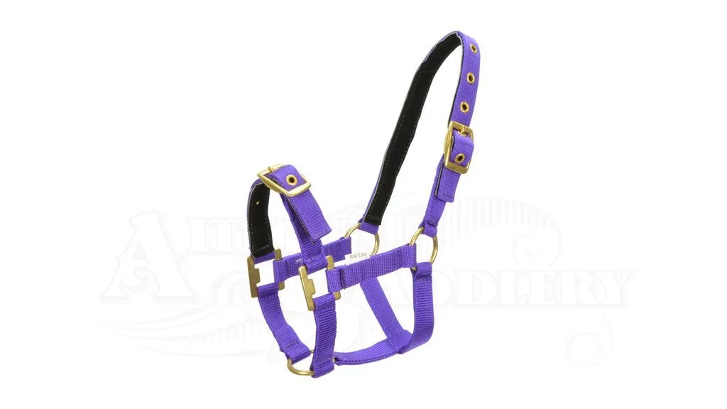 Nylon Miniature Headstall Purple