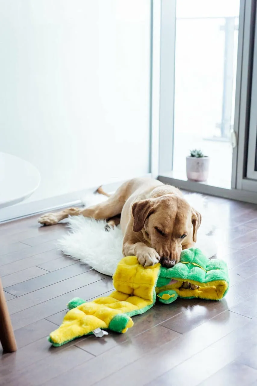 Outward Hound Squeaker Matz Gator Plush Dog Toy Green XXL