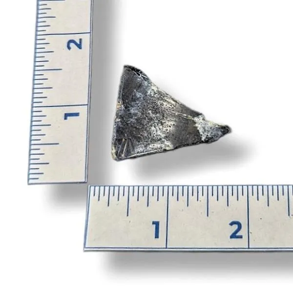 Pietersite Polished