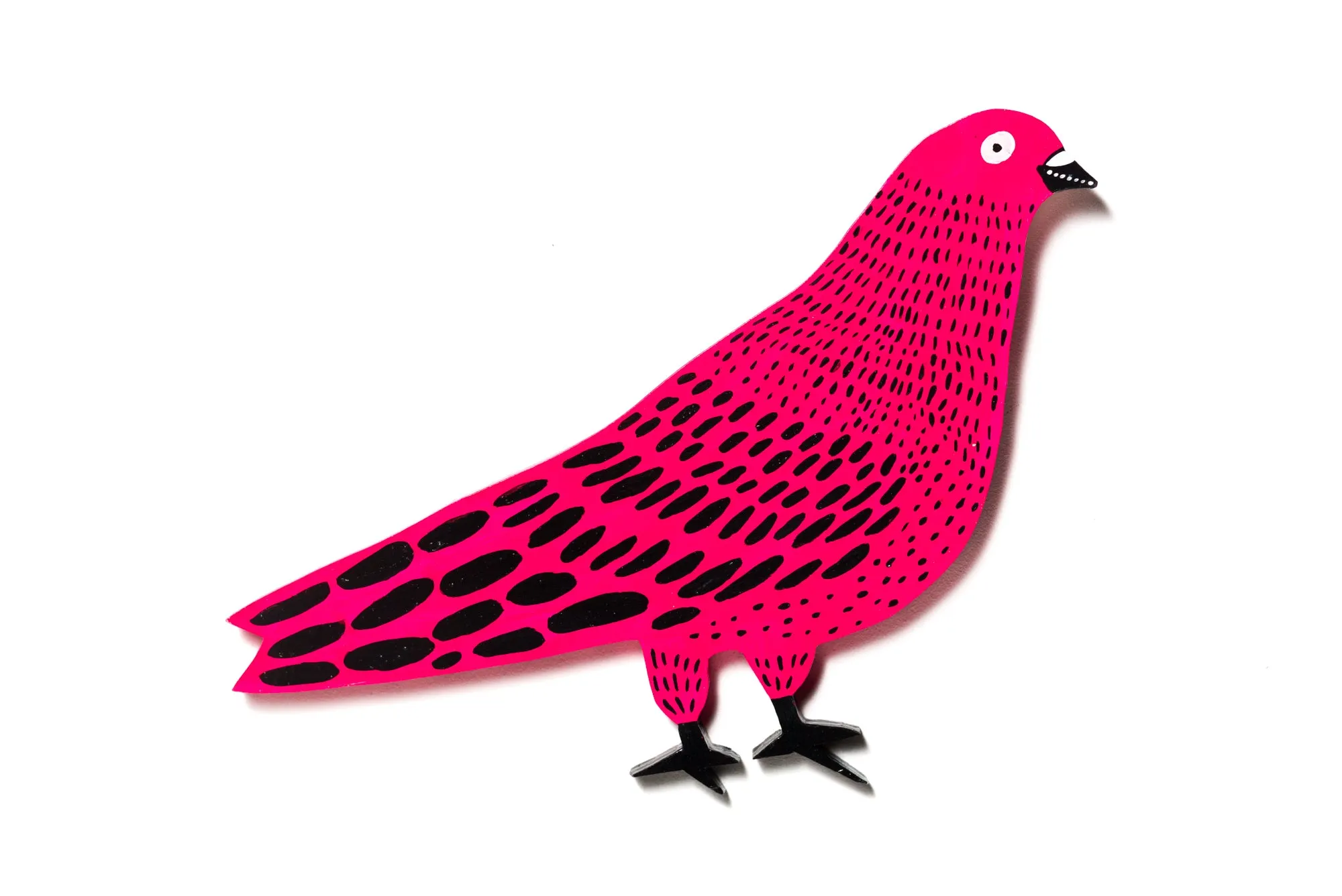pigeon