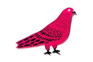 pigeon