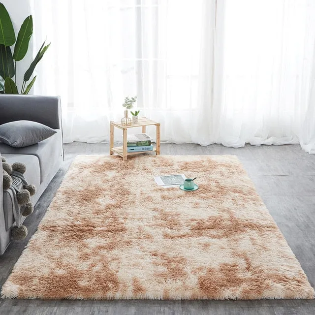 Plush Fluffy Absorption Carpet