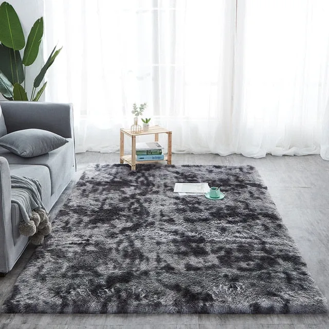 Plush Fluffy Absorption Carpet