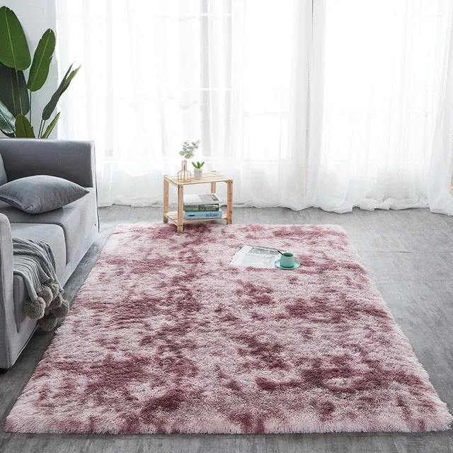 Plush Fluffy Absorption Carpet