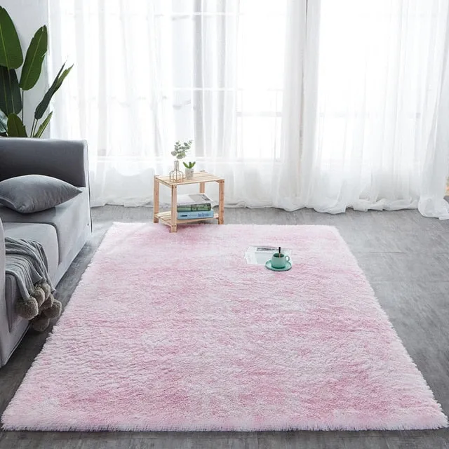 Plush Fluffy Absorption Carpet