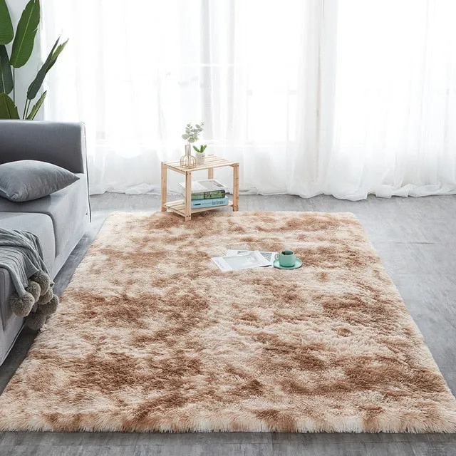 Plush Fluffy Absorption Carpet