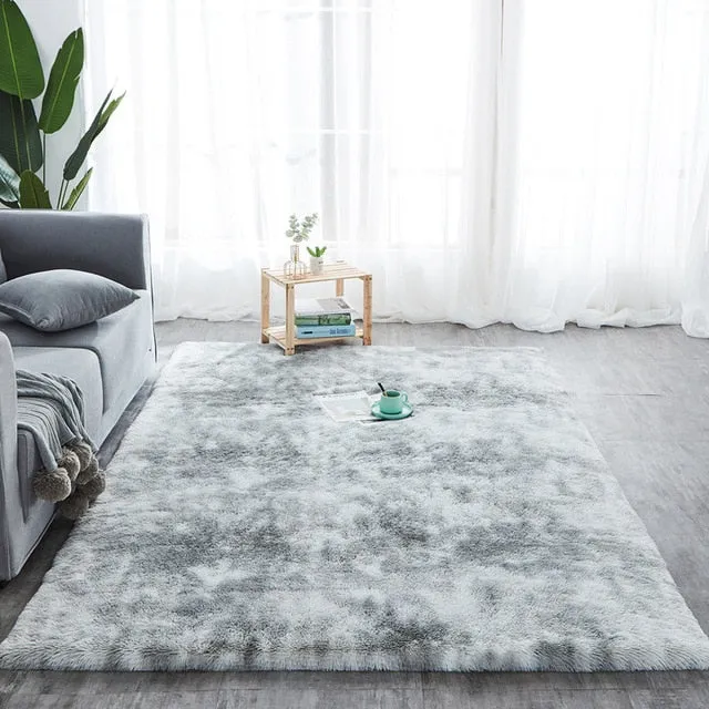Plush Fluffy Absorption Carpet