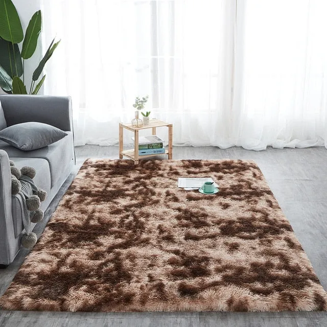 Plush Fluffy Absorption Carpet