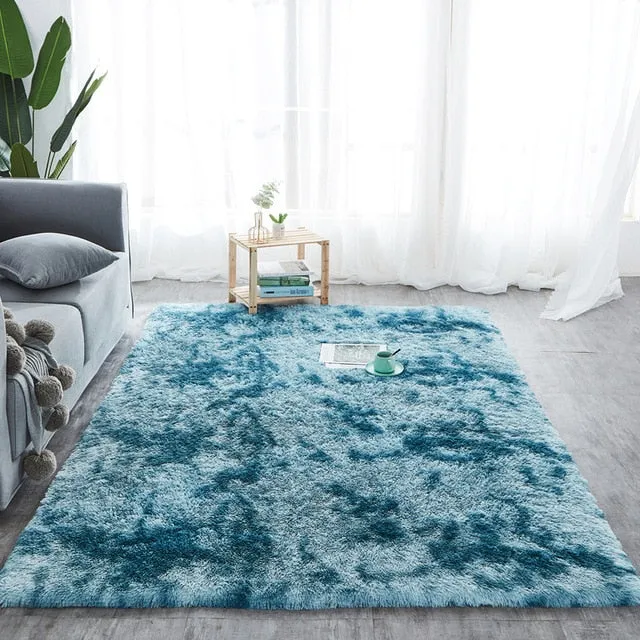 Plush Fluffy Absorption Carpet