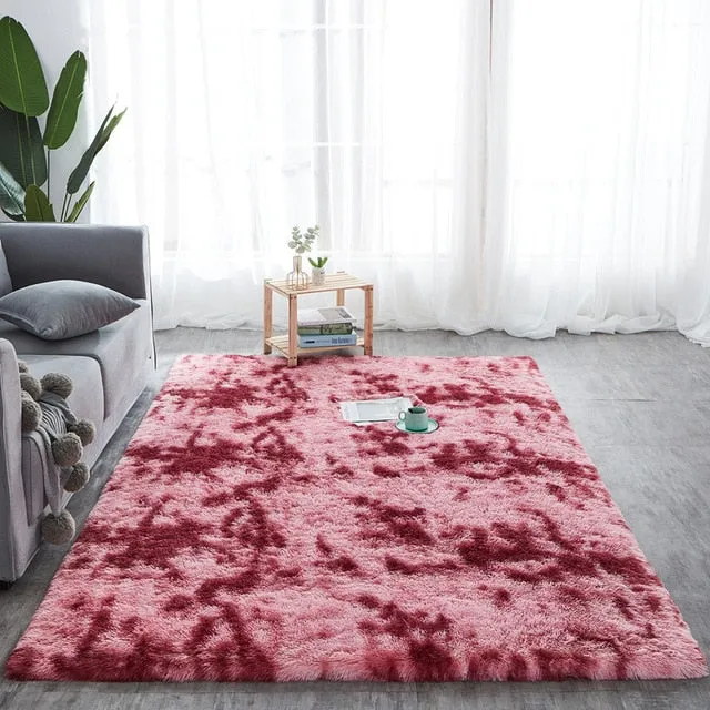 Plush Fluffy Absorption Carpet