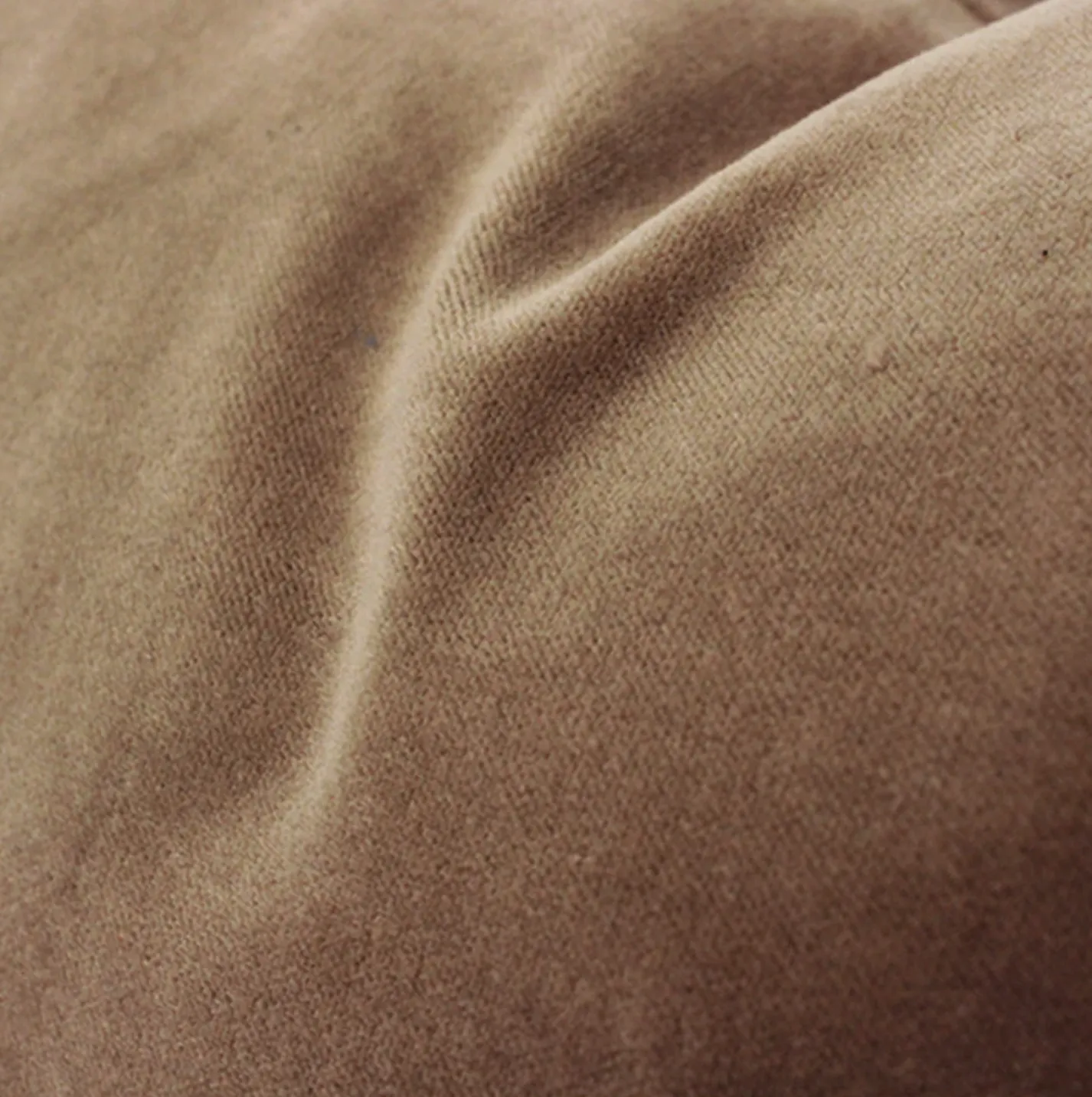 Plush in San Gabriel Pillow