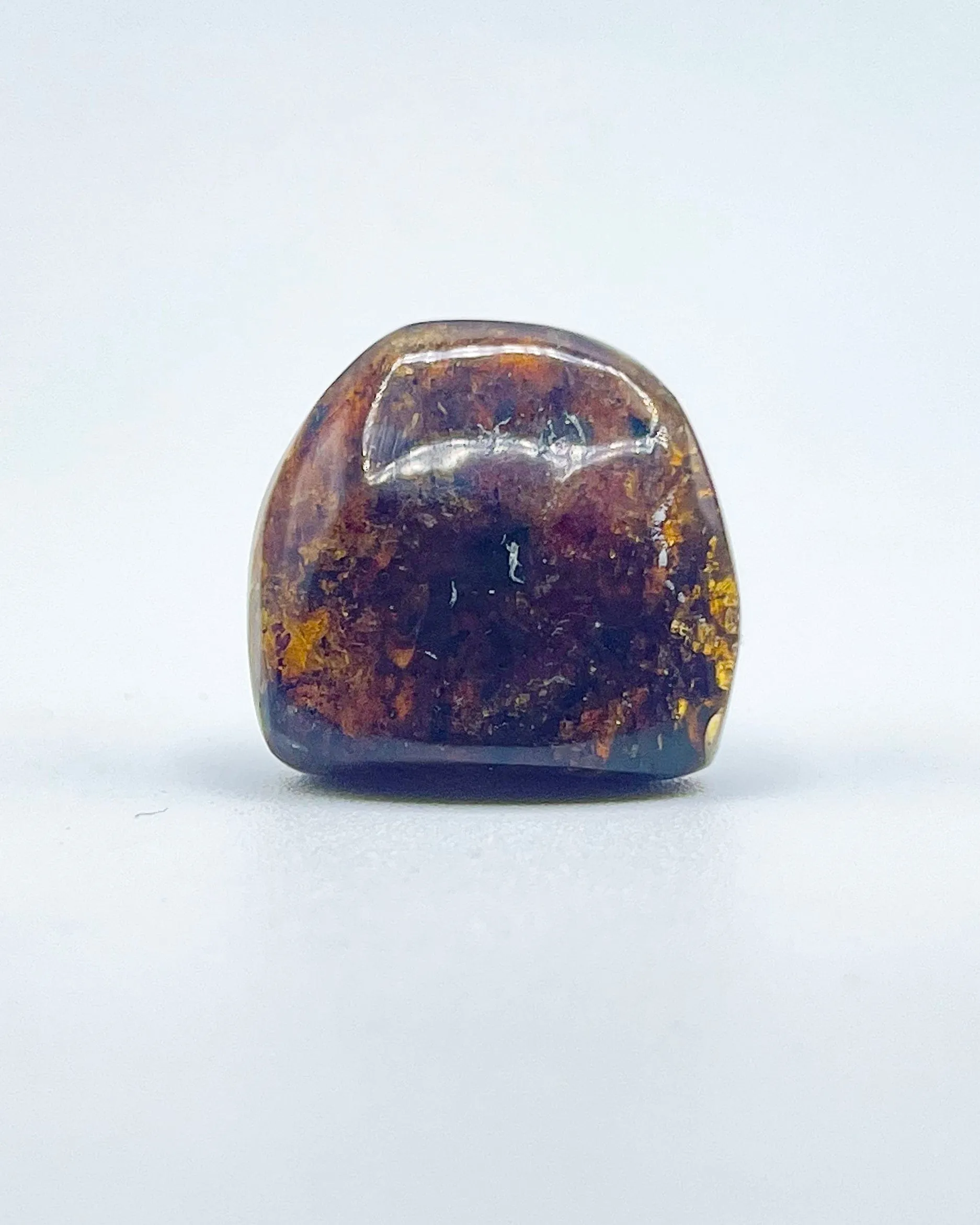 Polished Amber Specimen