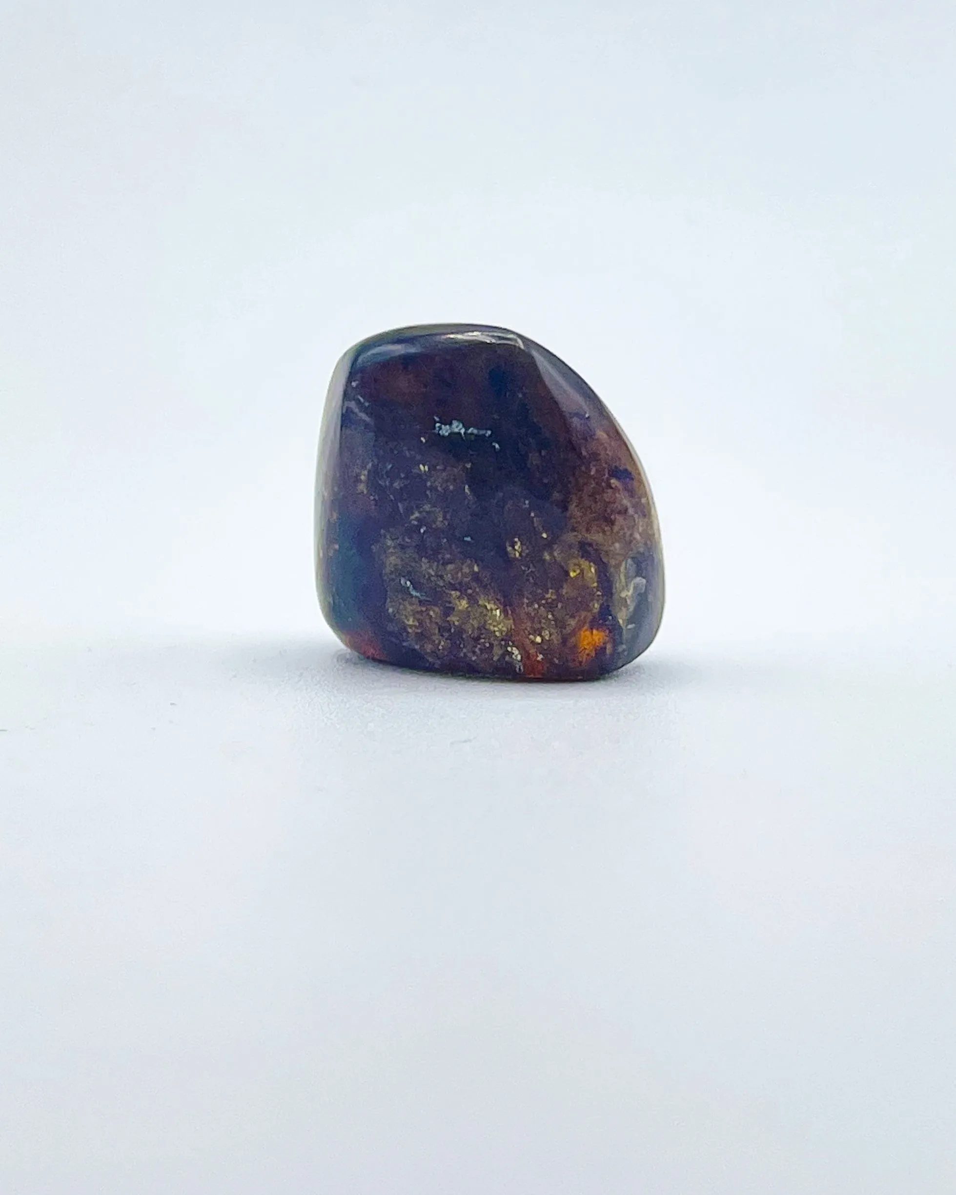Polished Amber Specimen