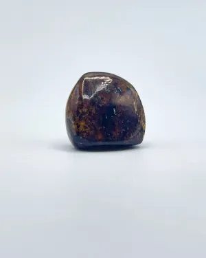 Polished Amber Specimen