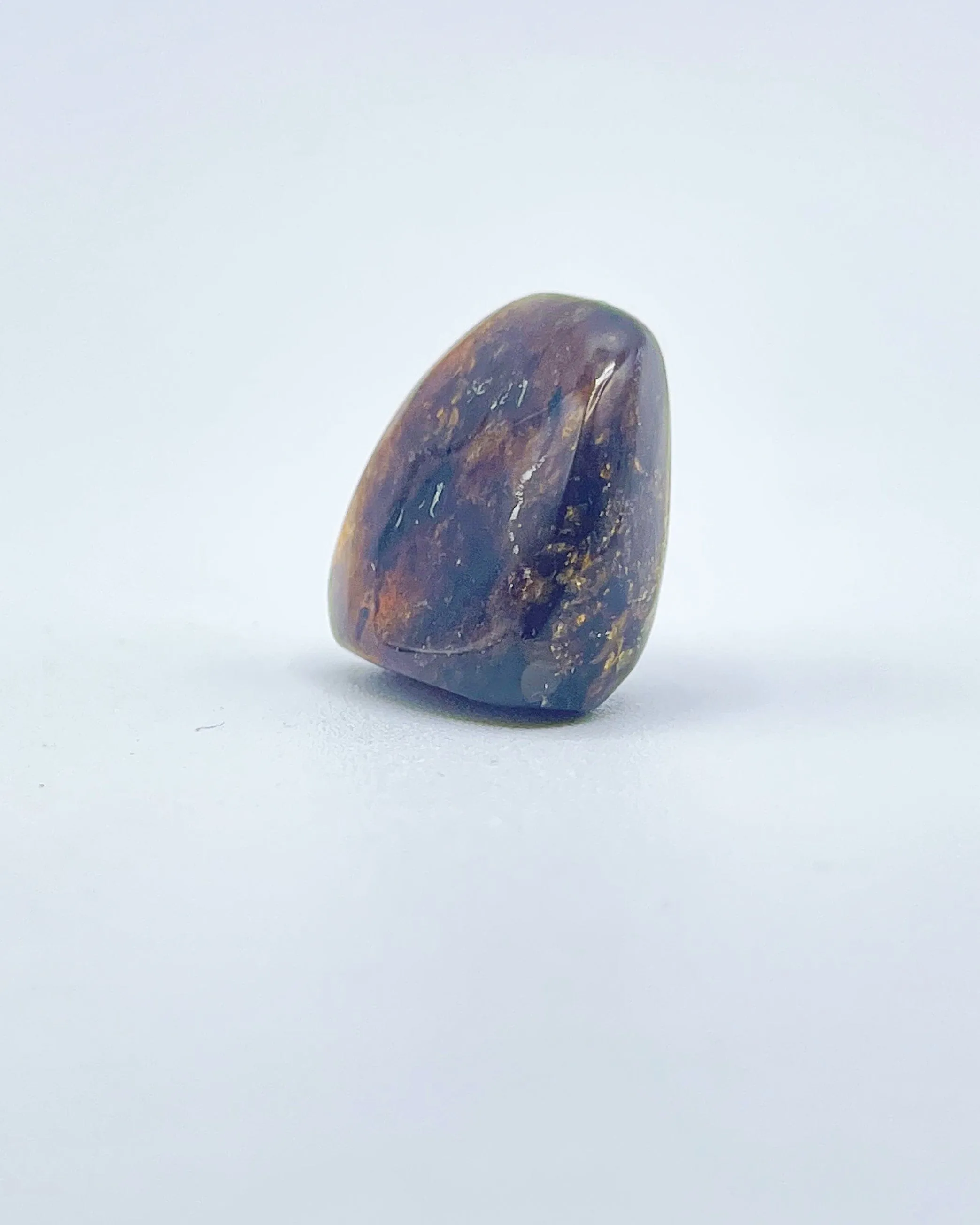 Polished Amber Specimen