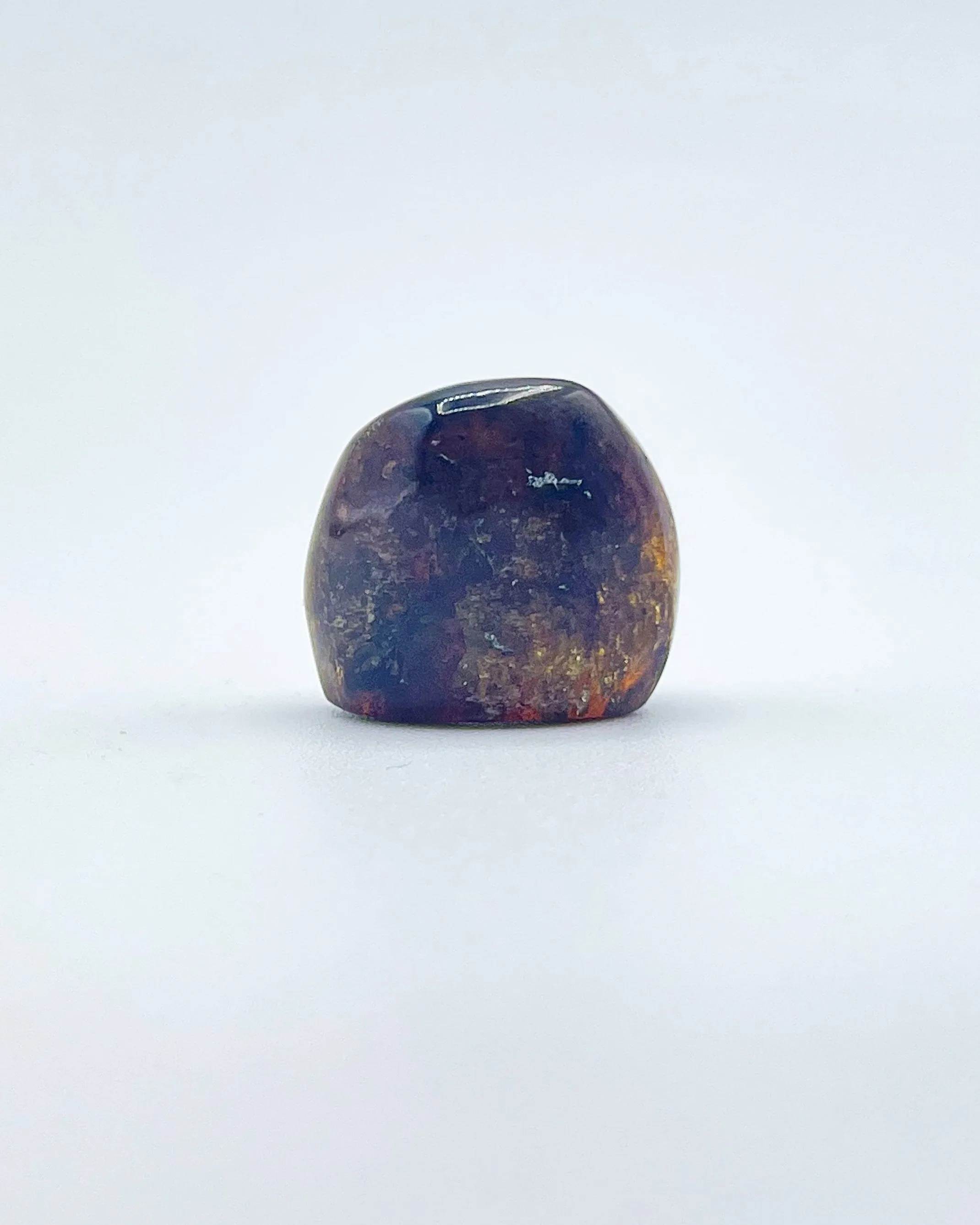 Polished Amber Specimen