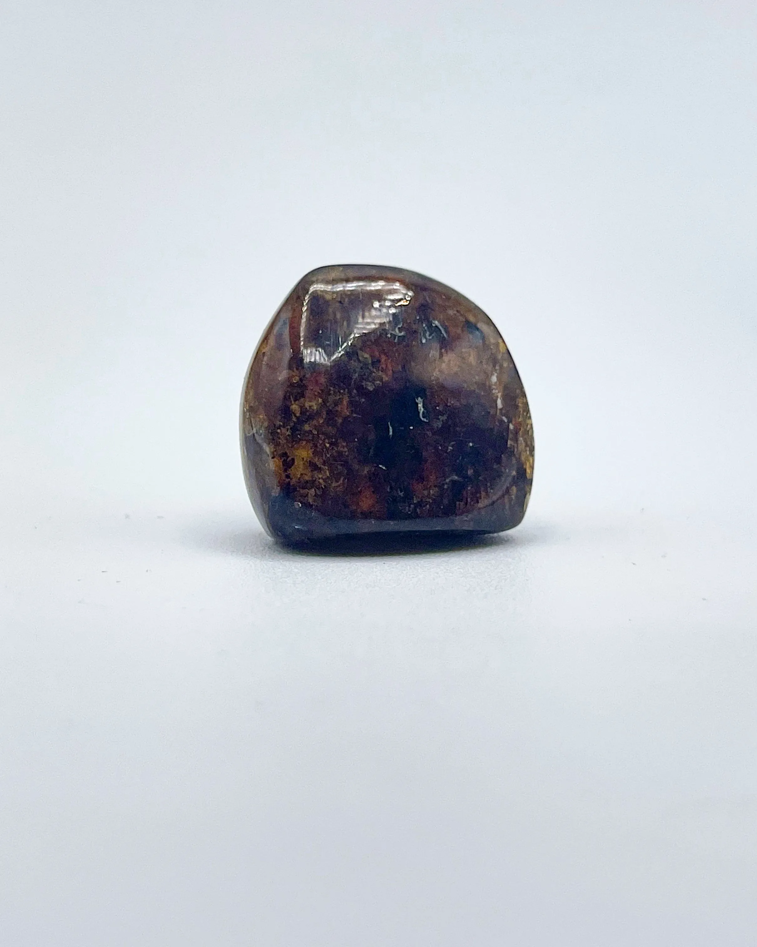 Polished Amber Specimen