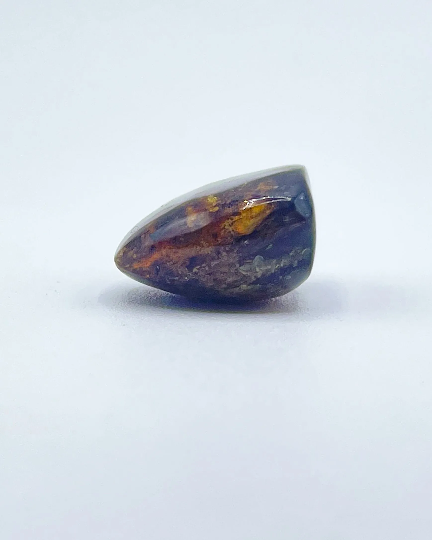 Polished Amber Specimen