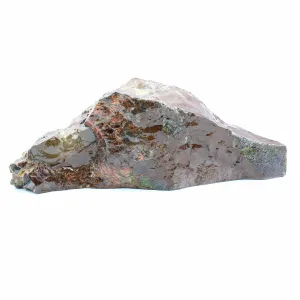 Polished Ammolite Specimen