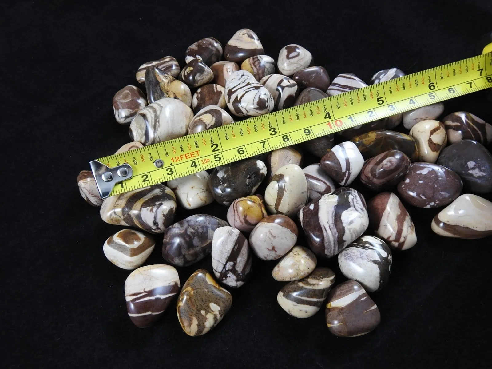 Puddingstone Jasper 1 lb portion CLOSEOUT