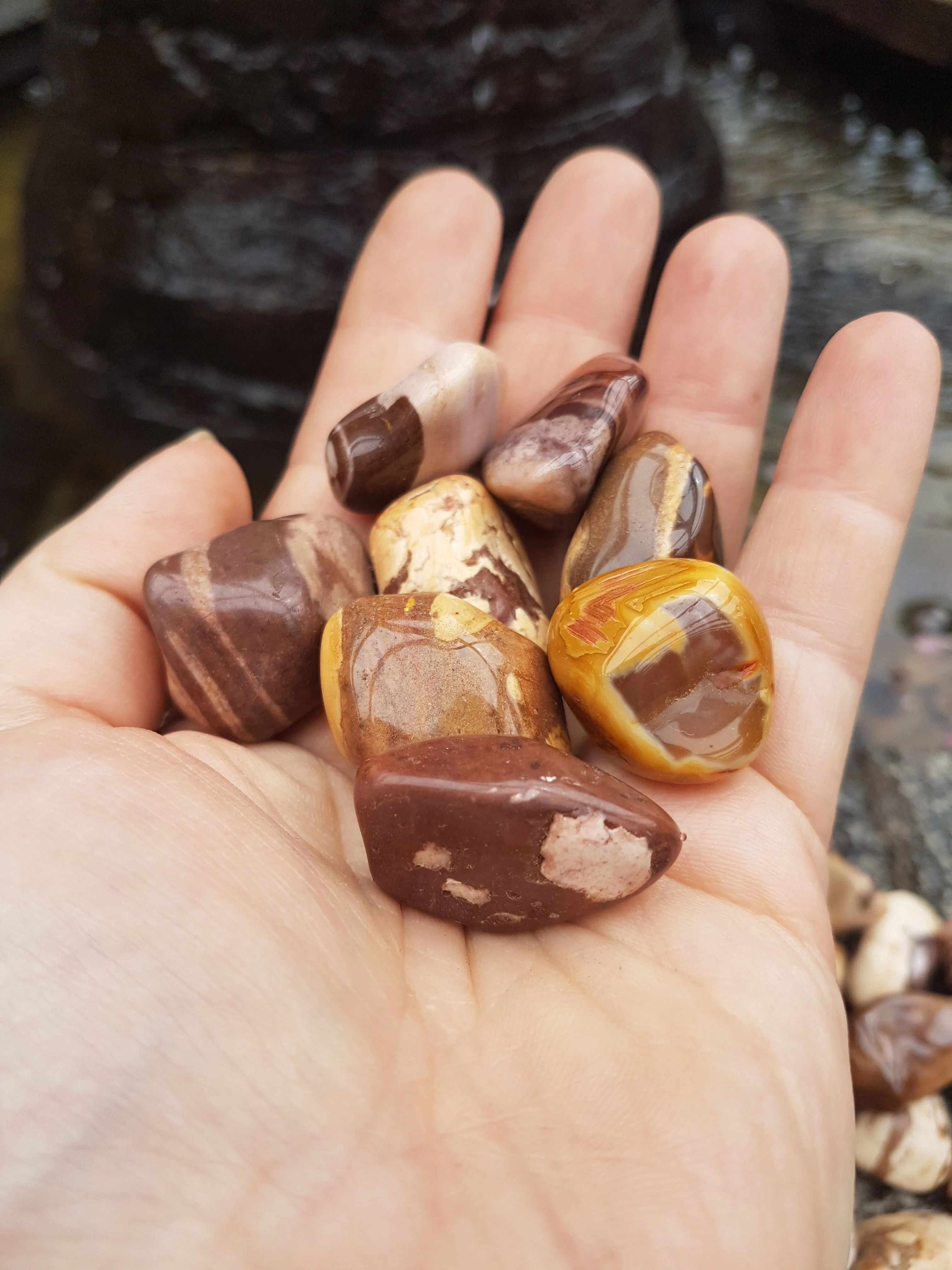 Puddingstone Jasper 1 lb portion CLOSEOUT