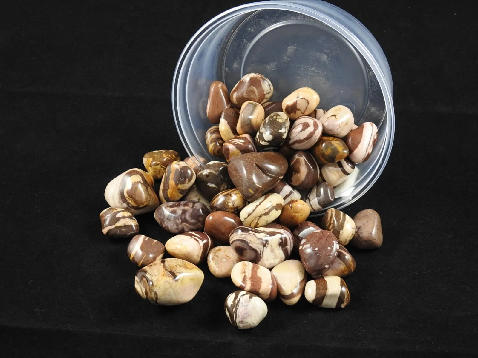 Puddingstone Jasper 1 lb portion CLOSEOUT
