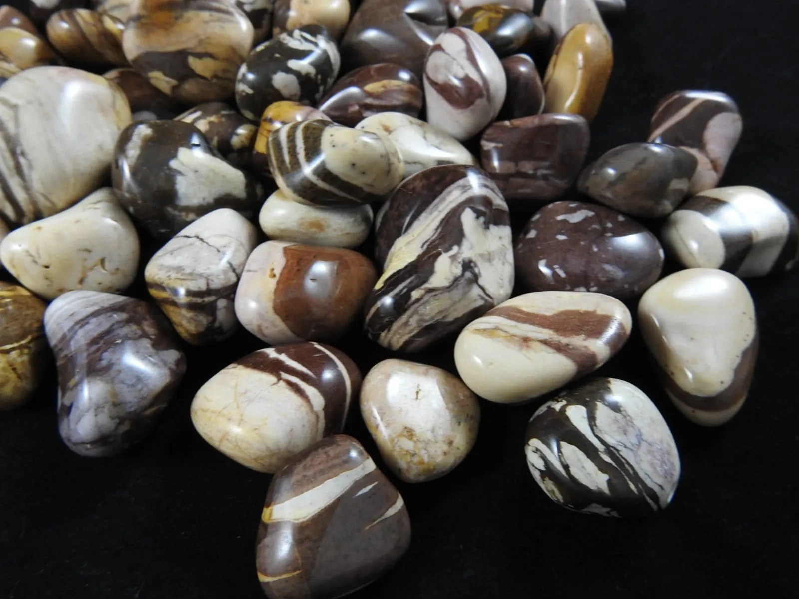 Puddingstone Jasper 1 lb portion CLOSEOUT