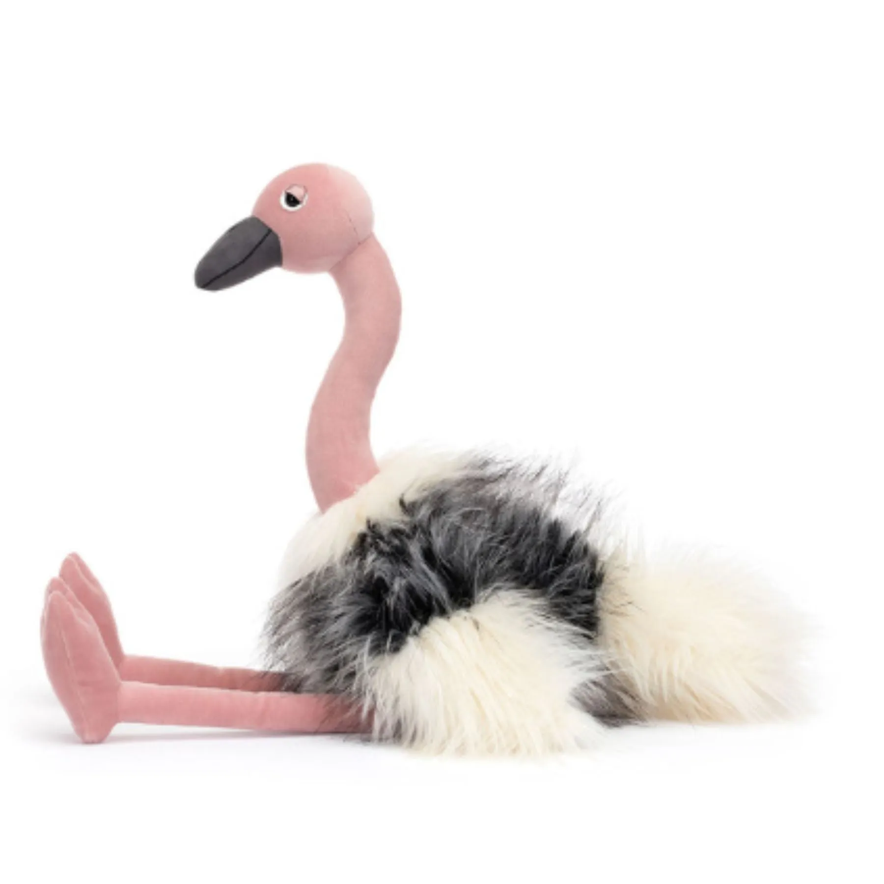 Ramonda Ostrich