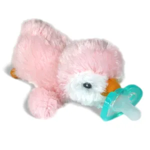 Raz-Buddy Paci Holder