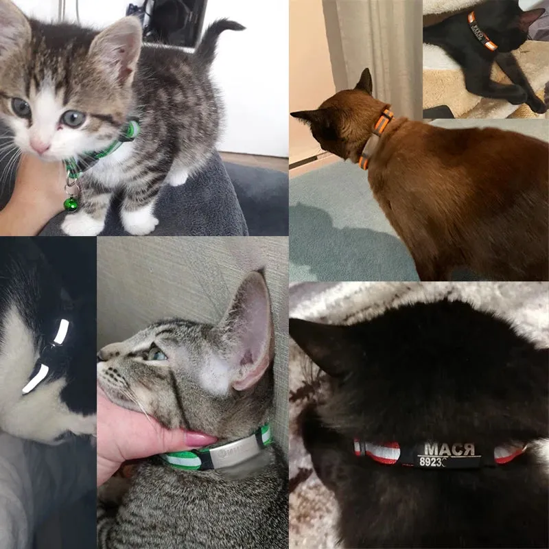 Reflective Cat Safety Buckle Collar!