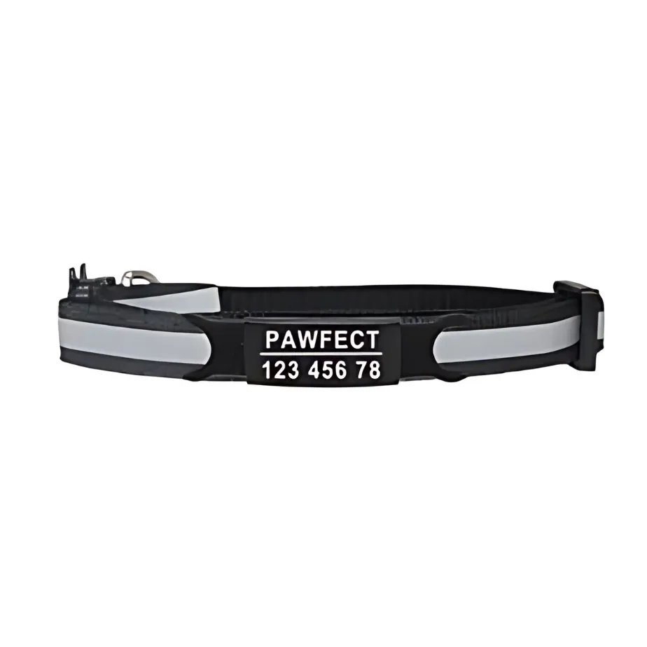 Reflective Cat Safety Buckle Collar!